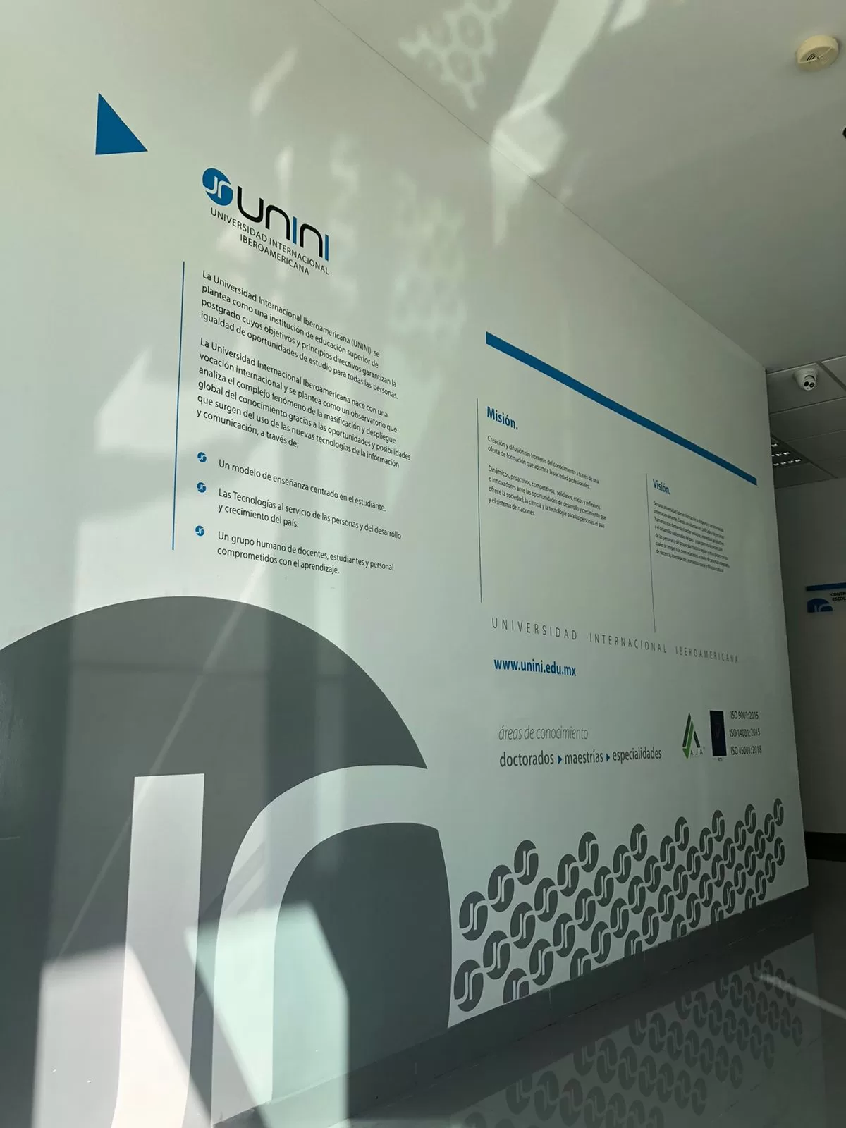 Rotulación en corte de vinil